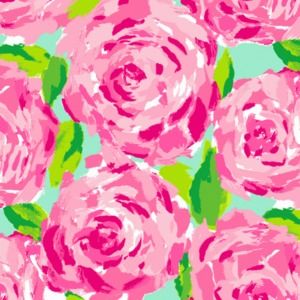 Meet your Posher, Gabrielle